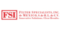 FSI DE MEXICO logo