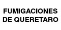 Fumigaciones De Queretaro logo