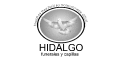 Funerales Y Capillas Hidalgo logo