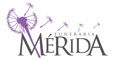 Funeraria Merida logo