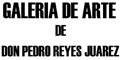 Galeria De Arte De Don Pedro Amador Reyes Juarez