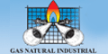 GAS NATURAL INDUSTRIAL logo
