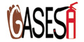 Gasesa logo