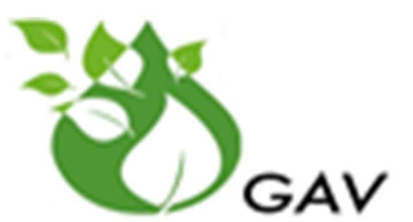 GAV sa de cv logo