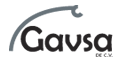 GAVSA DE CV