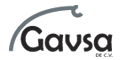 GAVSA DE CV logo