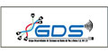 Gds logo