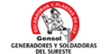 GENERADORES Y SOLDADURAS DEL SURESTE logo