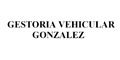 Gestoria Vehicular Gonzalez