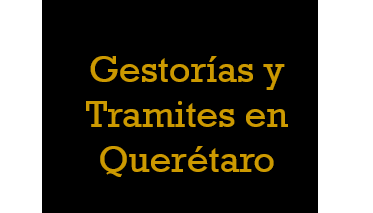 Gestorias y Tramites en Queretaro logo
