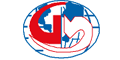 GMI CONSULTANTS SA DE CV logo