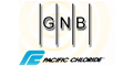 Gnb logo