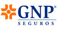 Gnp Seguros