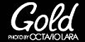 Gold Fotografia logo