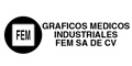Graficos Medicos Industriales Fem Sa De Cv logo