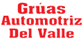 Gruas Automotriz Del Valle