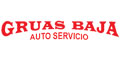 Gruas Baja Autoservicio logo