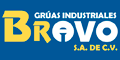 Gruas Industriales Bravo