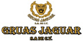 Gruas Jaguar Sa De Cv logo