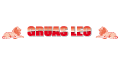 GRUAS LEO logo