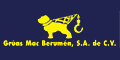 Gruas Mac Berumen Sa De Cv logo