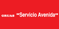 GRUAS SERVICIOS AVENIDA logo