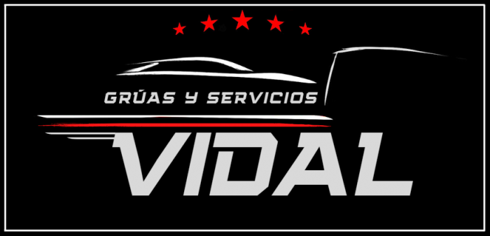 Gruas Vidal logo