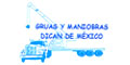 Gruas Y Maniobras Dican De Mexico logo