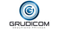 Grudicom Tecnologia Y Seguridad Privada logo
