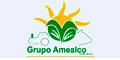 Grupo Amealco S.P.R. De R.L.