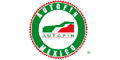 GRUPO AUTOFIN MEXICO logo