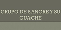 Grupo De Sangre Y Su Guache