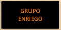 Grupo Enriego logo