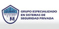 Grupo Especializado En Sistemas De Seguridad Privada Mg Sa De Cv logo