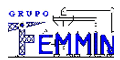GRUPO FEMMIN logo