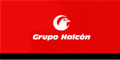 Grupo Halcon logo