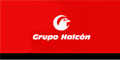 Grupo Halcon