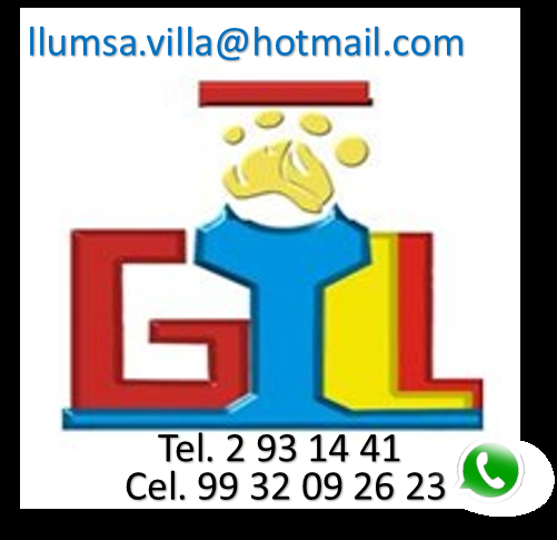 GRUPO INDUSTRIAL LLUMSA .S.A. DE C.V. logo