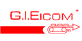 GRUPO INTERNACIONAL EICOM, S.A DE C.V. logo