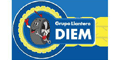 Grupo Llantero Diem Sa De Cv logo