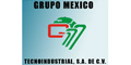 Grupo Mexico Tecnoindustrial Sa De Cv logo