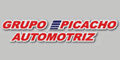 GRUPO PICACHO AUTOMOTRIZ logo