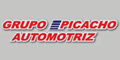 GRUPO PICACHO AUTOMOTRIZ