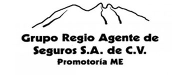 Grupo Regio Agente De Seguros Sa De Cv logo