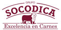 Grupo Socodica logo