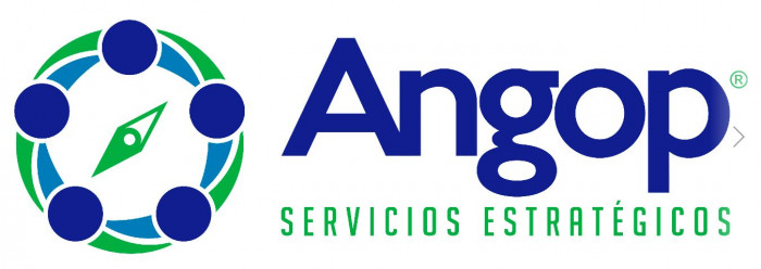 GRUPOS DE SERVICIOS ESTRATEGICOS Y TECNOLOGICOS ANGOP, S.A. DE C.V. logo