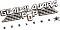GUADALAJARA POP logo