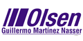 Guillermo Martinez Nasser logo
