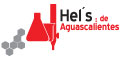 HELS DE AGUASCALIENTES logo