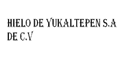 Hielo De Yukalpeten Sa De Cv logo